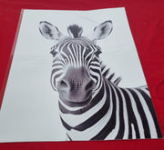 Zebra Print In Black and White, Modern Simplistic Bathroom/Bedroom Home Decor,