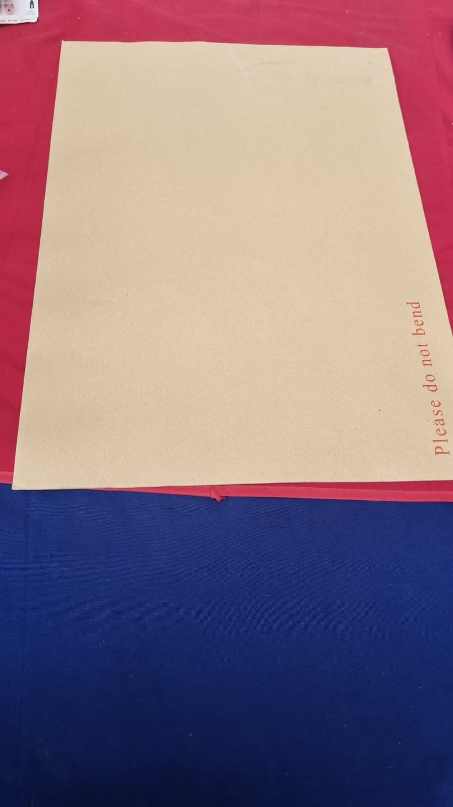 Zebra Print In Black and White, Modern Simplistic Bathroom/Bedroom Home Decor,