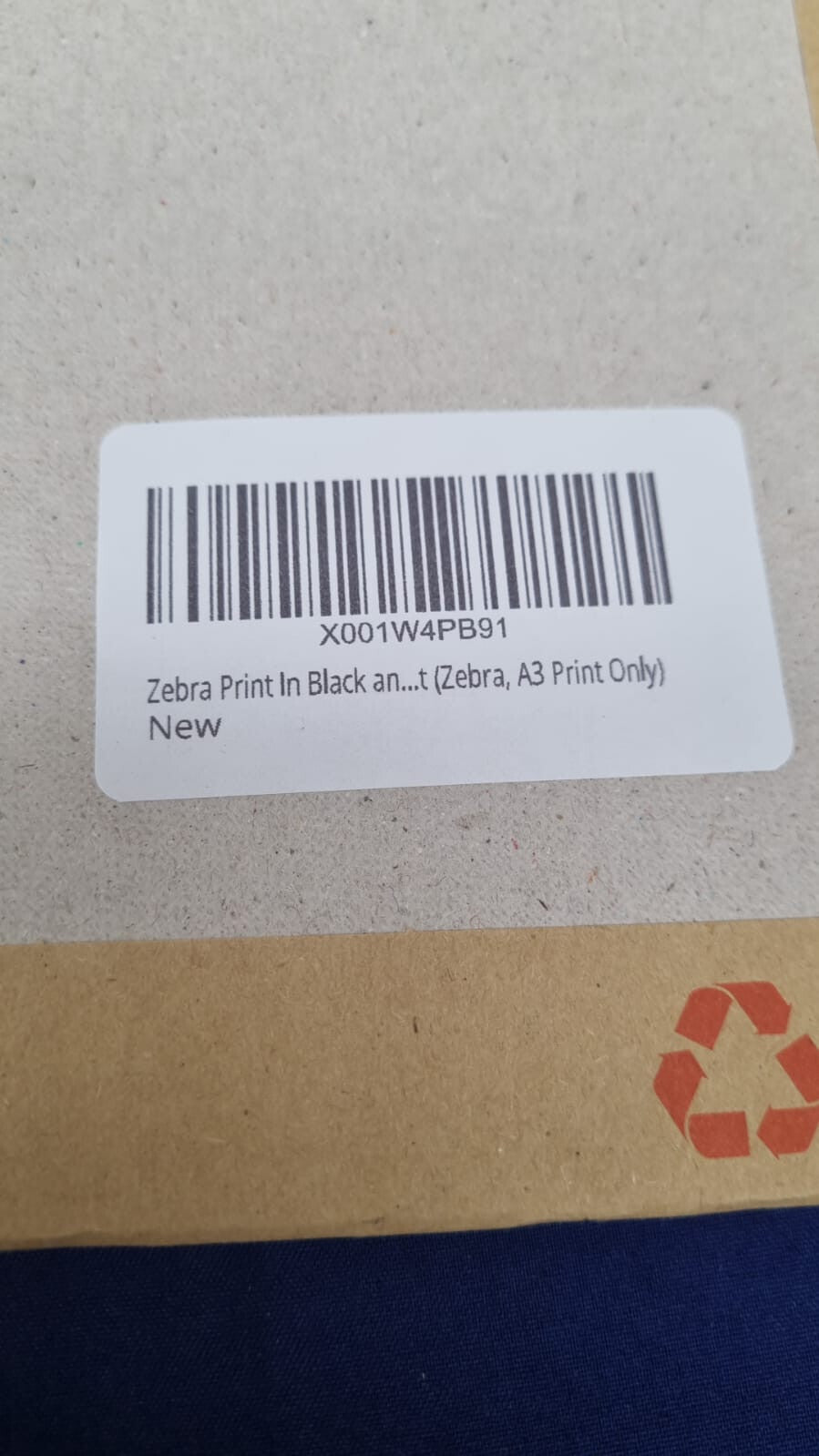 Zebra Print In Black and White, Modern Simplistic Bathroom/Bedroom Home Decor,