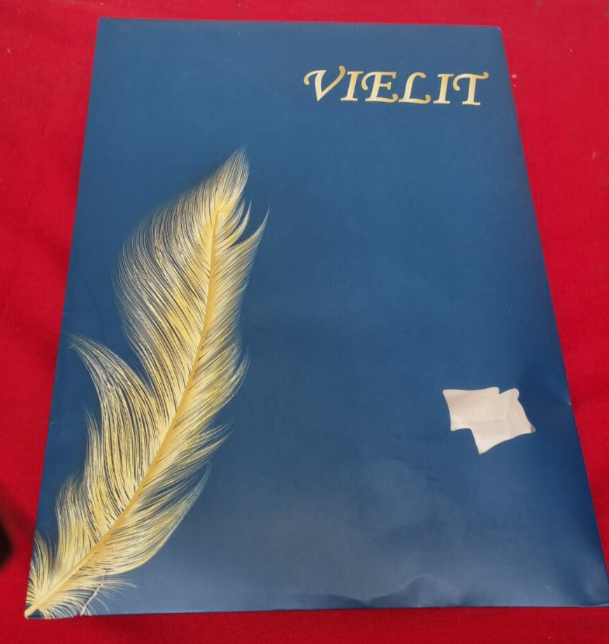 Vielit 2 Pack Satin Pillowcase for Hair and Skin,Soft as Silk (package damaged)