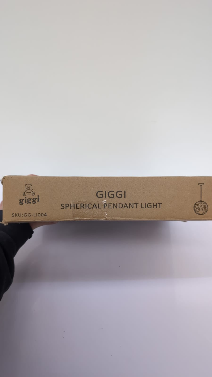 Giggi Black Ceiling Light, Modern Industrial Ceiling Lights