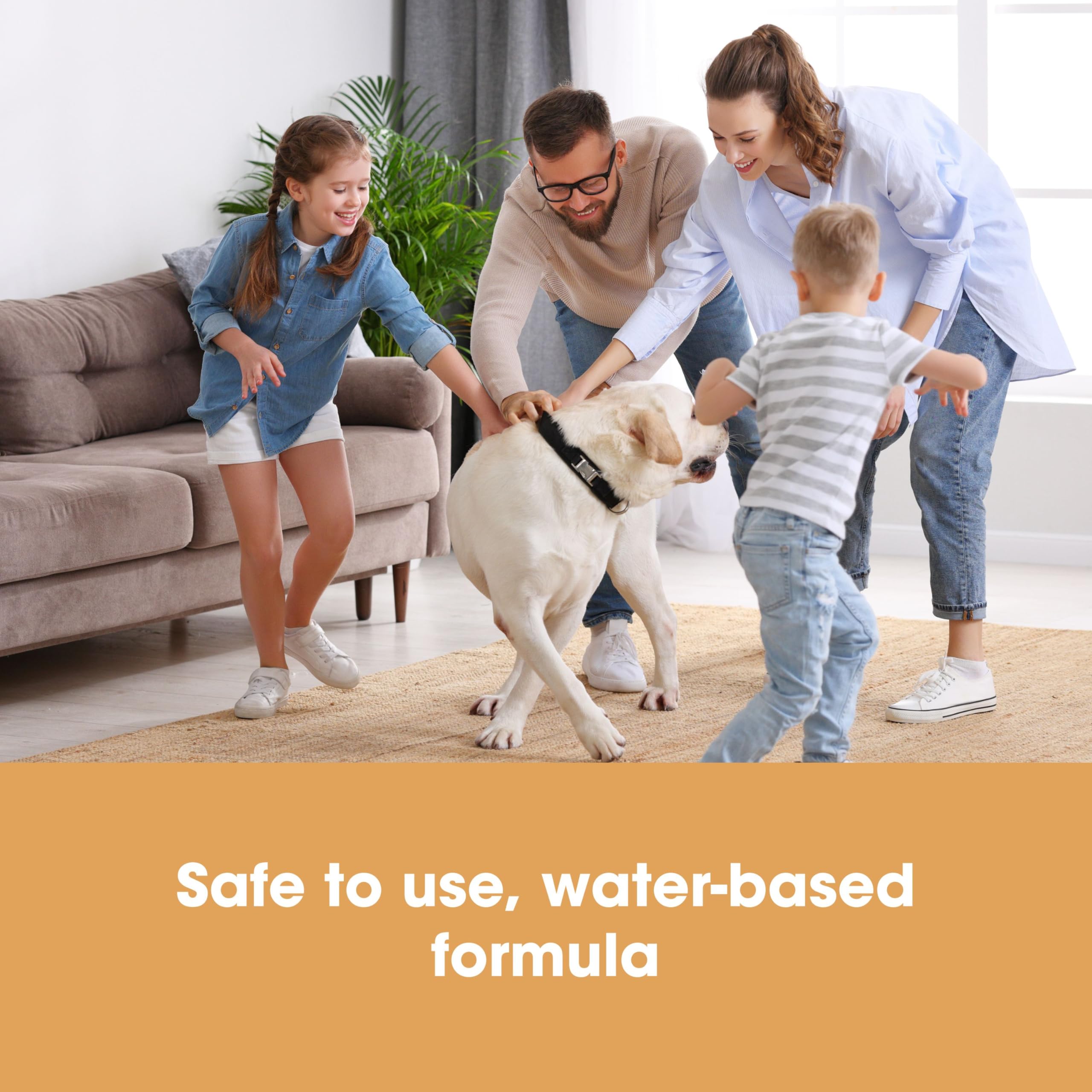 Furniture Clinic Carpet & Upholstery Protector Spray- Repels All Stains and Water - Fabric Protector Spray for Upholstery, Carpets, Sofas, Car Seats, Shoes