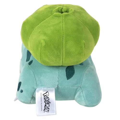 Pokémon Plush Toys