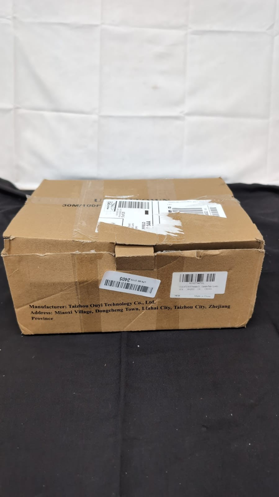 Festoon String Outdoor Garden Lights: 30M 100ft,(box damaged)
