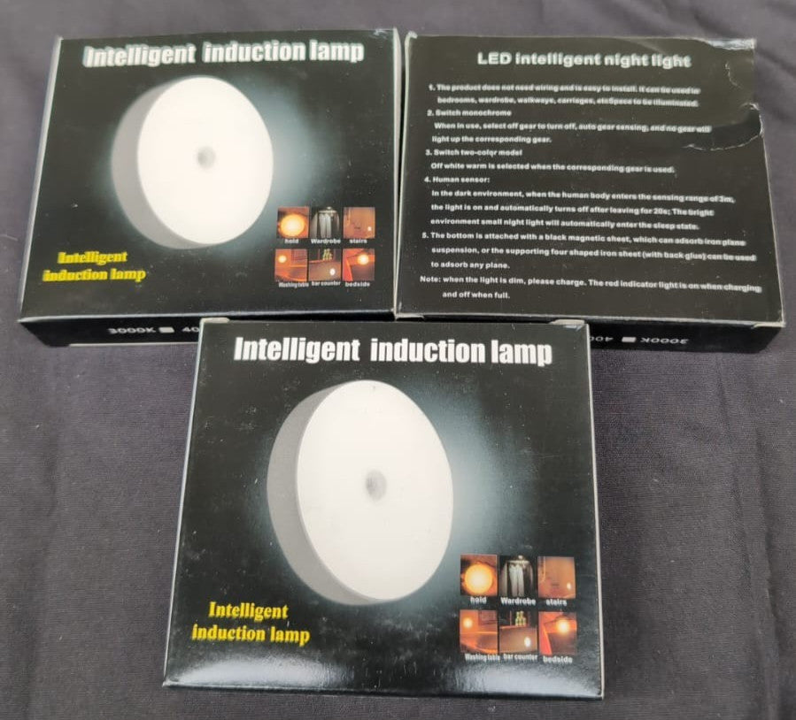 Intelligent Induction Lamp (3 Packs)