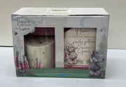 Me to You Tatty Teddy Faux Succulent and Plaque Gift Set (BOX DAMAGED)