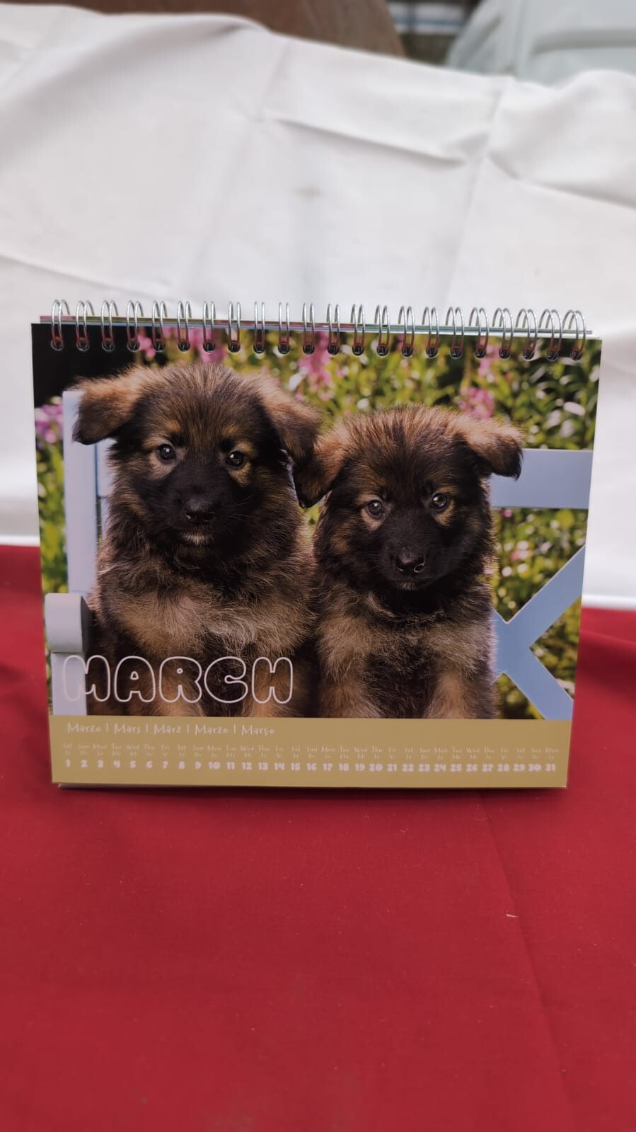 Dog Desk Calendar 2025 | 8 x 7 inches - 20 x 17 cm 12 Month (warehouse damaged)