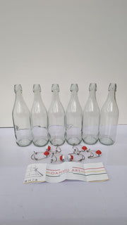 Danmu Art 6PCS Glass Bottles with Swing Top - Airtight Preserve Bottles 35oz
