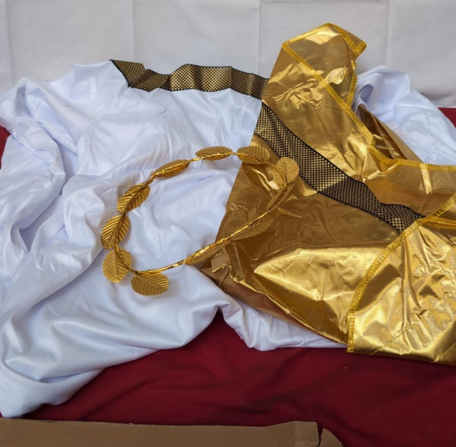 Halloween Greek Costume White Roman Toga Adult Toga (packaging damaged)