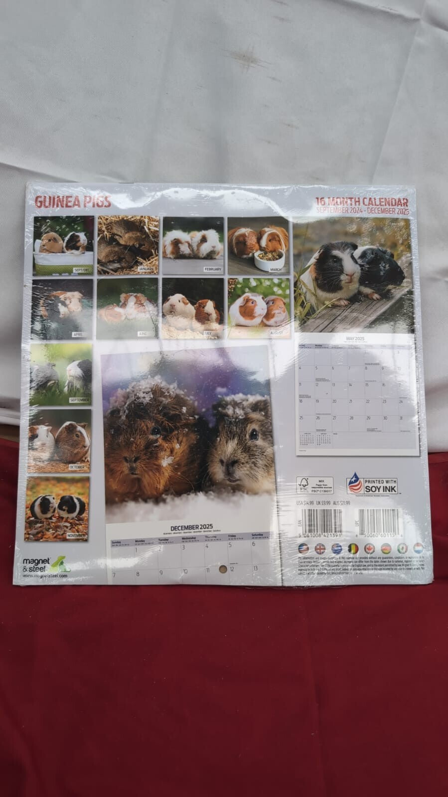 Guinea Pig 2025 Traditional Calendar