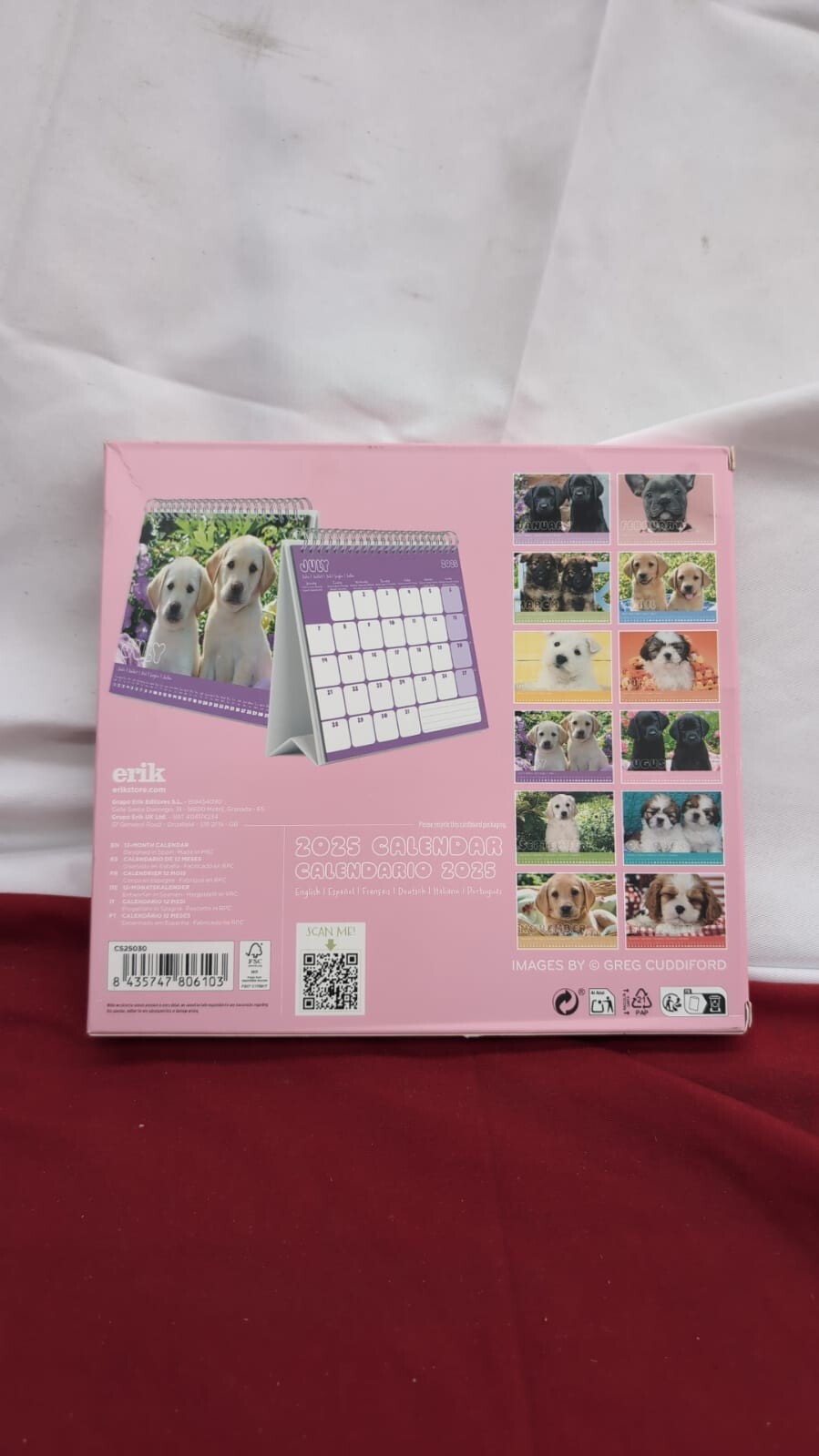 Dog Desk Calendar 2025 | 8 x 7 inches - 20 x 17 cm 12 Month (warehouse damaged)