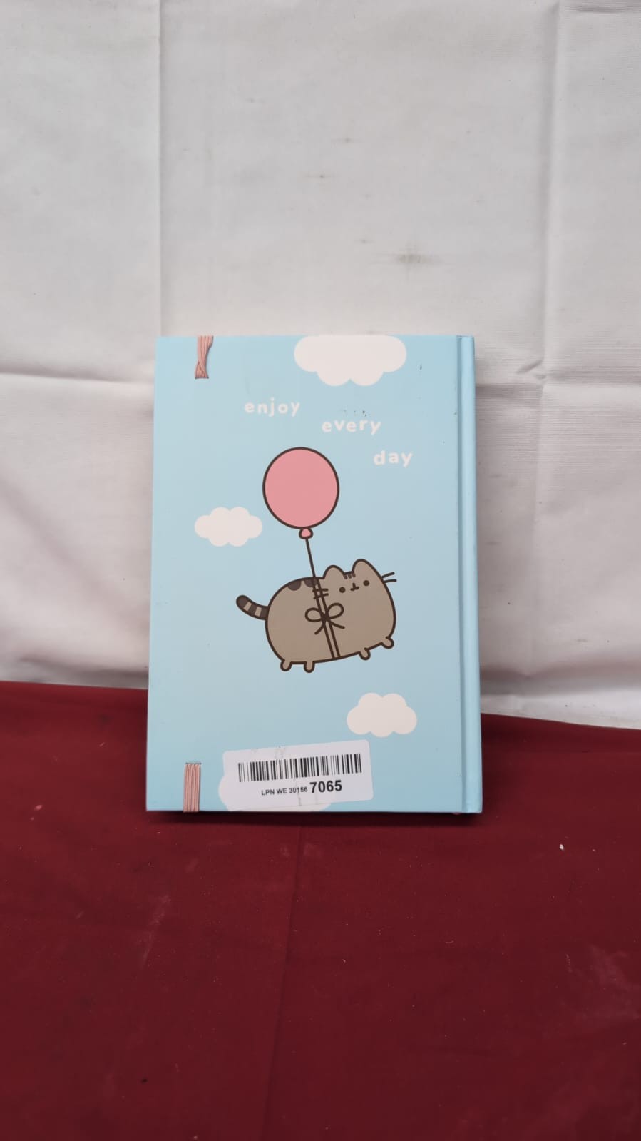 PUSHEEN 2025 Diary – Trendy DTP Design (Front cover scuffed - A5 size)