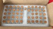 Belle Vous 50 Pack of Glass Favour Jars with Cork Lids - 10ml/0.33oz