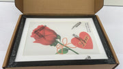 Classic Design Black A4 Picture, Certificates  Frame