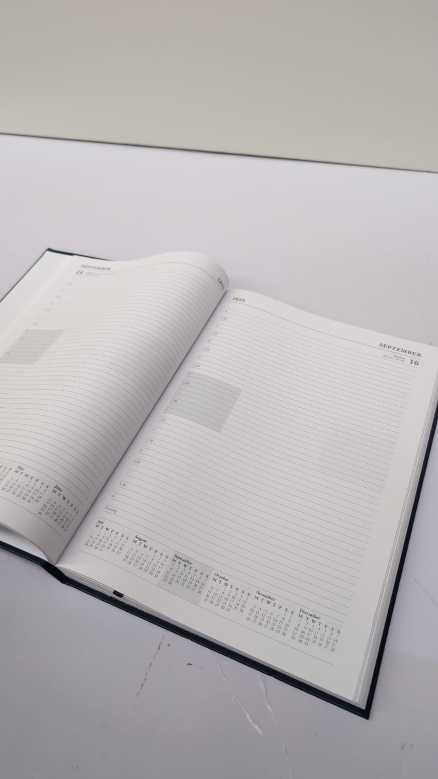 Essentials'Mid/Academic Year Planner,  2025-2026,Appointments Diary(small dent )