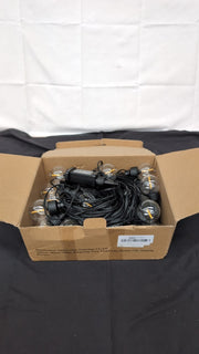 Festoon String Outdoor Garden Lights: 30M 100ft,(box damaged)