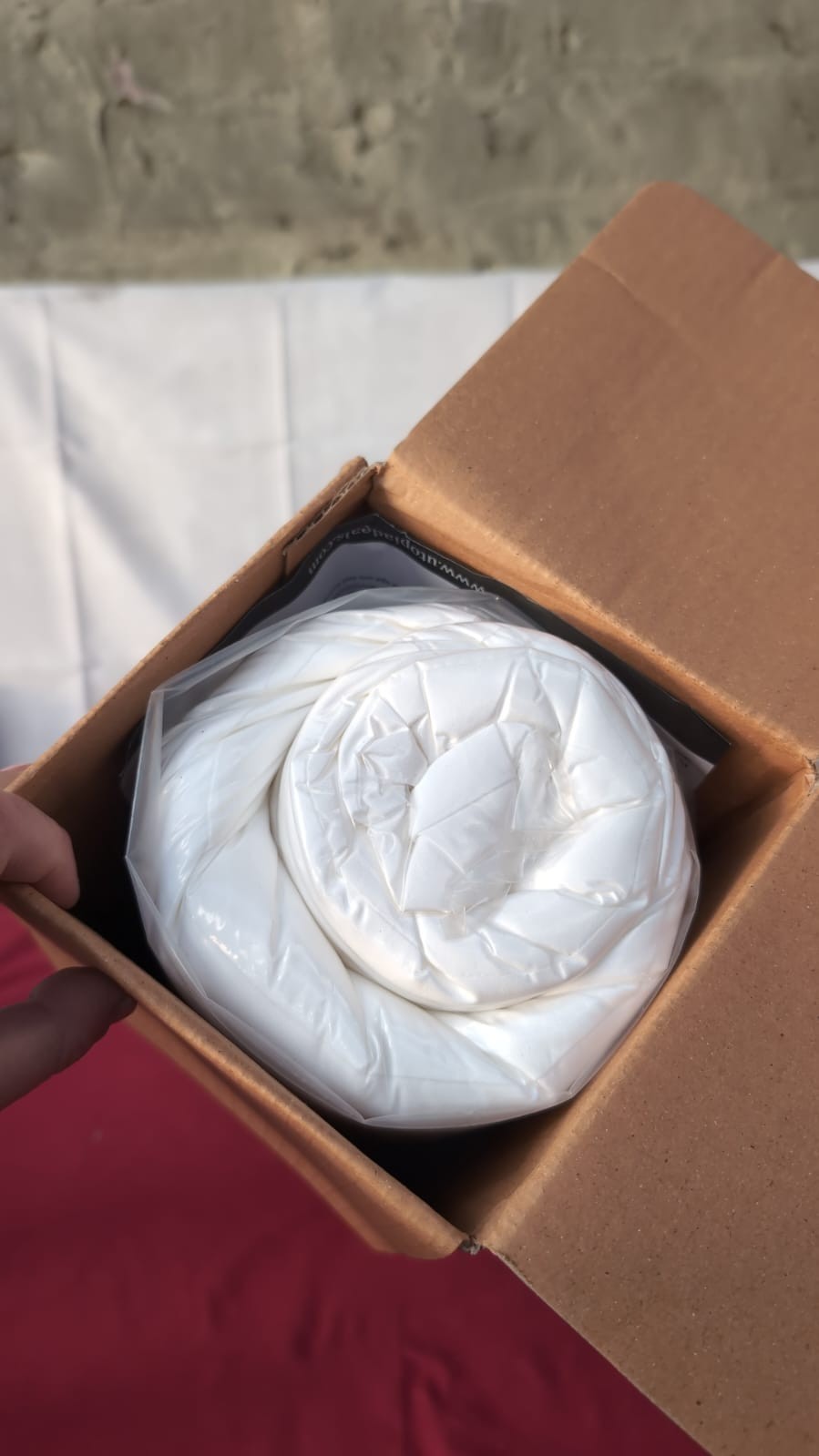 Utopia Bedding Cushion Inner Pads (Pack of 2), 43 x 43 cm ,White