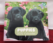 Dog Desk Calendar 2025 | 8 x 7 inches - 20 x 17 cm 12 Month (warehouse damaged)
