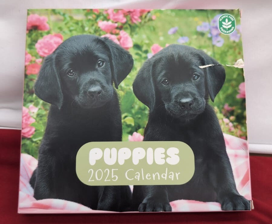 Dog Desk Calendar 2025 | 8 x 7 inches - 20 x 17 cm 12 Month (warehouse damaged)