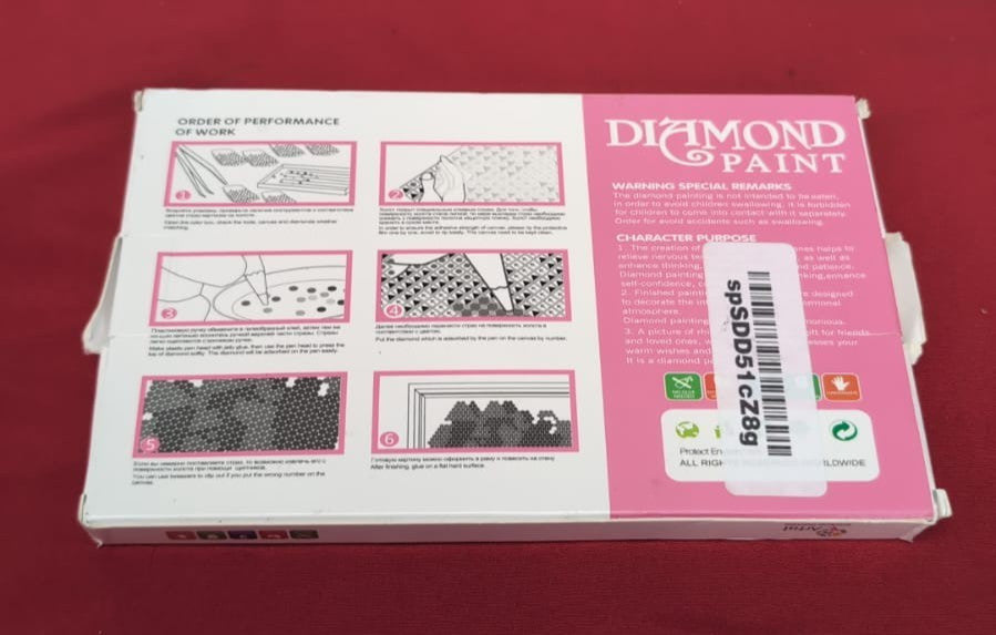 Artist Diamond paint order of performance of work (Packaging Damaged)