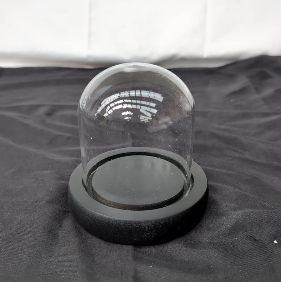Belle Vous Glass Dome Cloche Bell Jar with Black Wooden Base ,Clear Decorative
