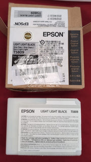 Epson Ink Cartridge 80 ml, Light Black, Genuine (packaging damaged)