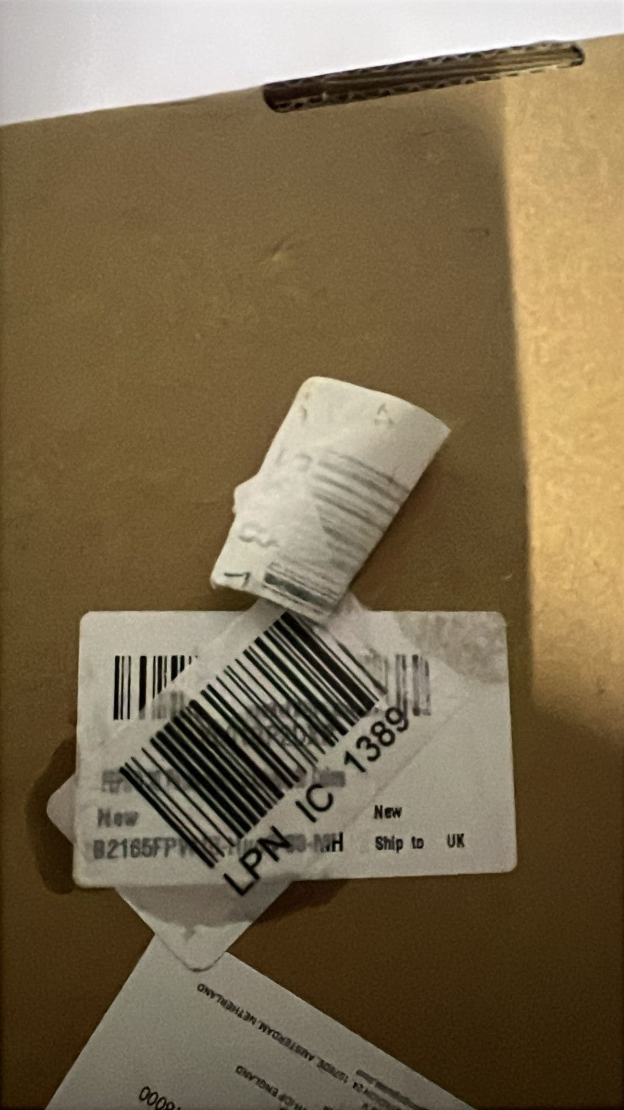 Kids Sunglasses Bulk Party Favors Goody Bag Fillers for Beach Birthday Party