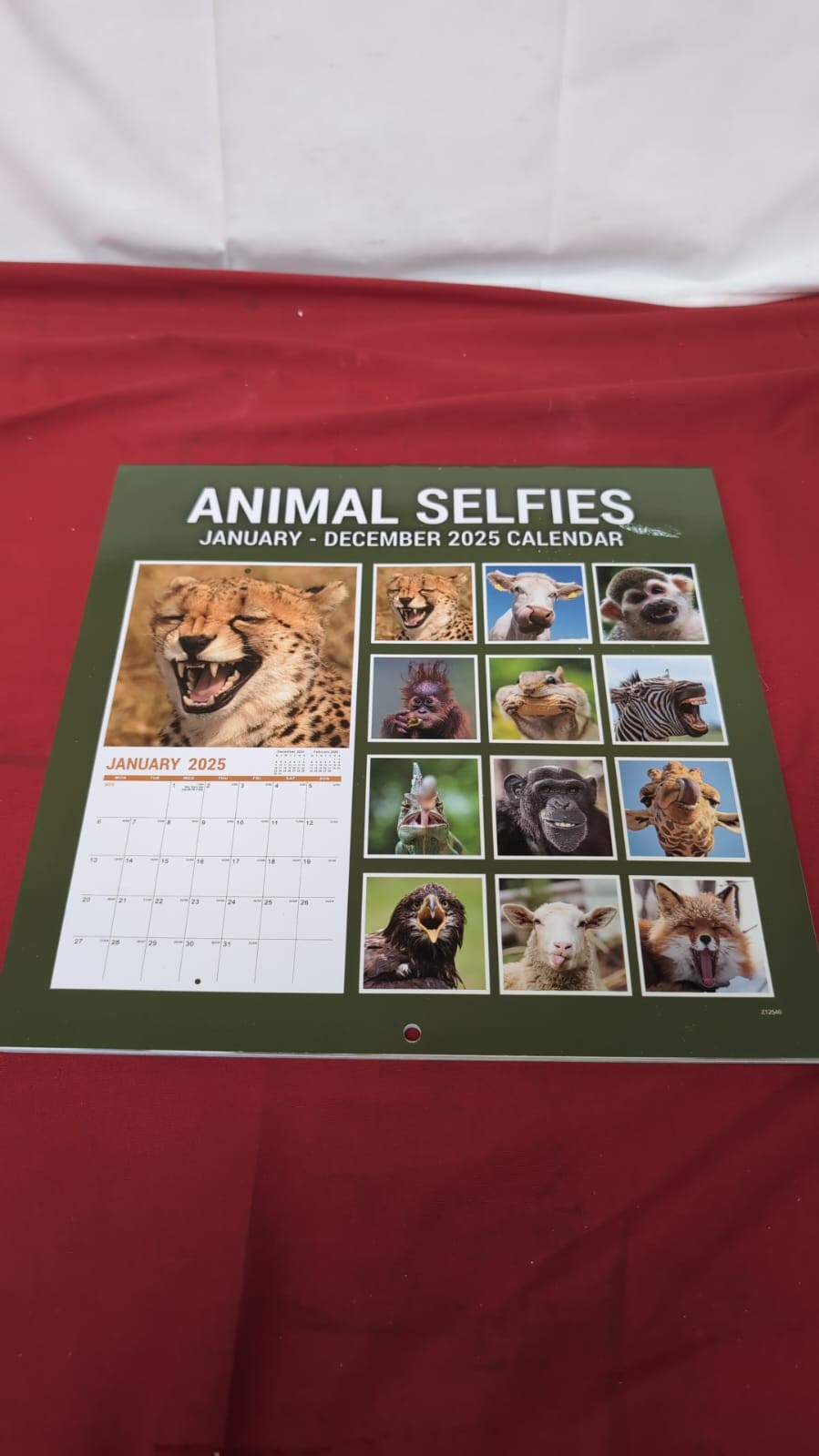 2025 Animal Selfie Wall Calendar Featuring Cute & Funny Images of Different