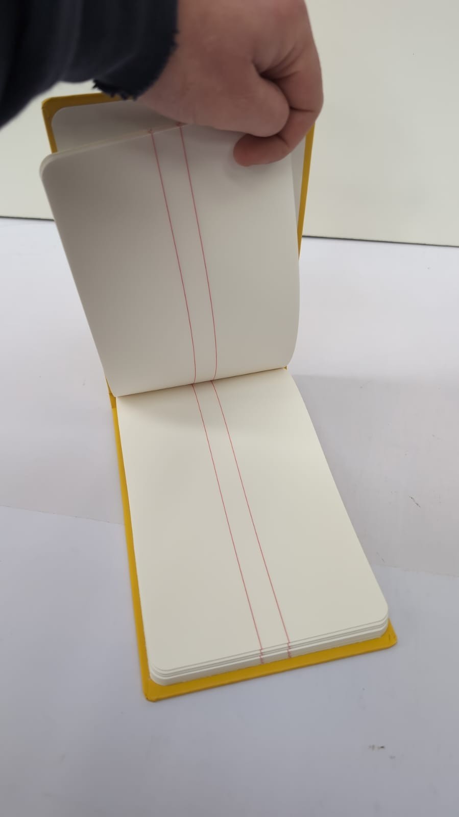 Exacompta - Ref 2026Z - Chartwell Casebound Survey Book (front cover scuffed)