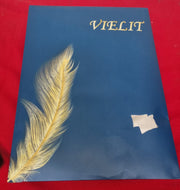 Vielit 2 Pack Satin Pillowcase for Hair and Skin,Soft as Silk (package damaged)