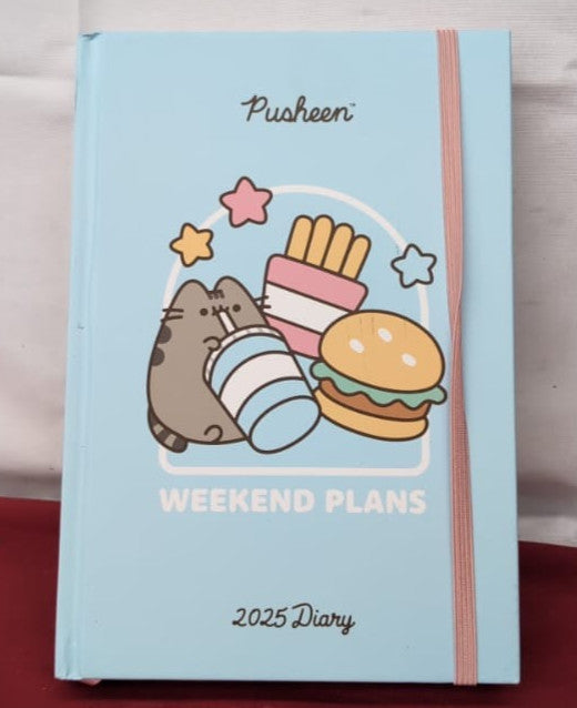 PUSHEEN 2025 Diary – Trendy DTP Design (Front cover scuffed - A5 size)