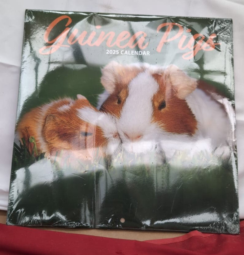 Guinea Pig 2025 Traditional Calendar