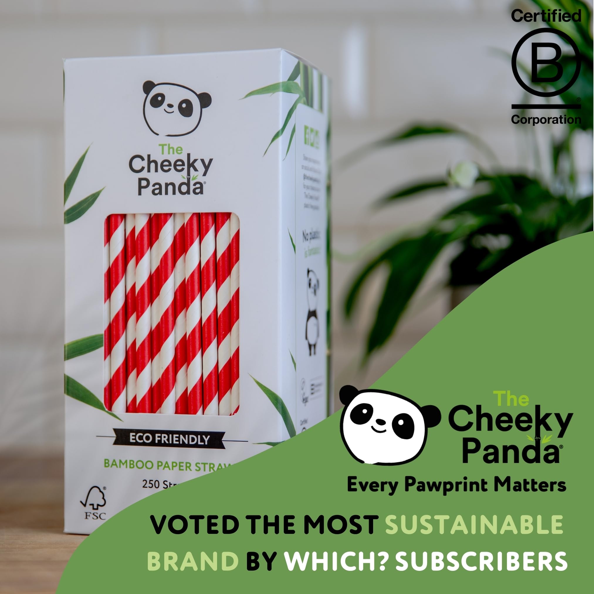 The Cheeky Panda Eco-Friendly Plastic-Free Bamboo Paper Straws